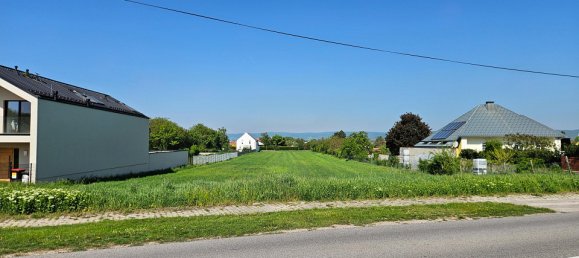  Land in Oslip, Austria No. 129024 2