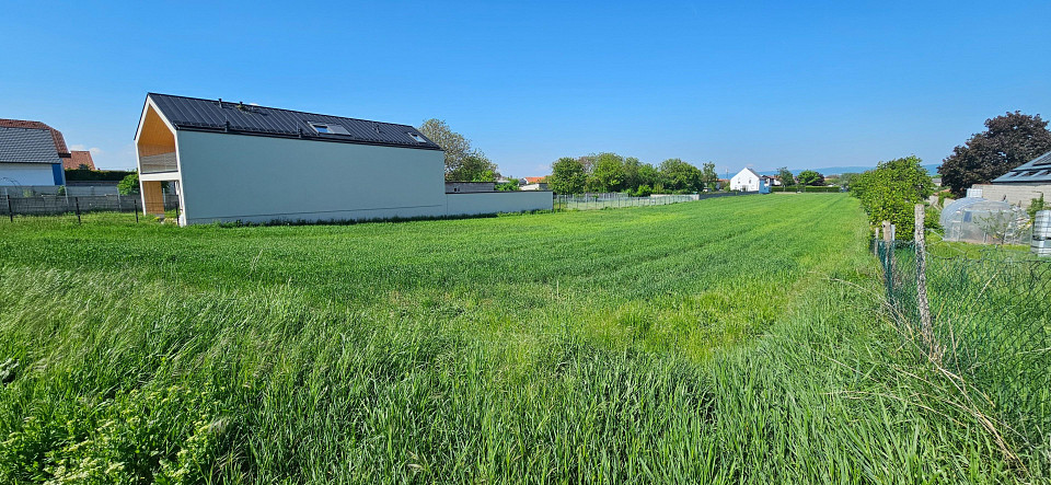  Land in Oslip, Austria No. 129024