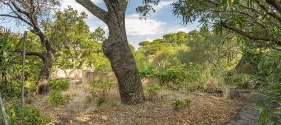 20 bedrooms Land in Grimaud, France No. 38174 6