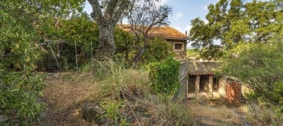 20 bedrooms Land in Grimaud, France No. 38174 2