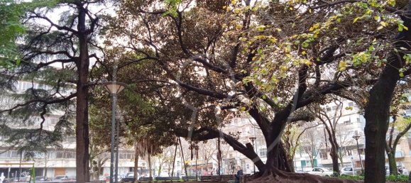 Квартира с 1 спальней в Лиссабон, Португалия № 151996 22