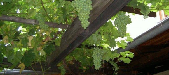 885m² Commercial property in Durnstein, Austria No. 236882 11