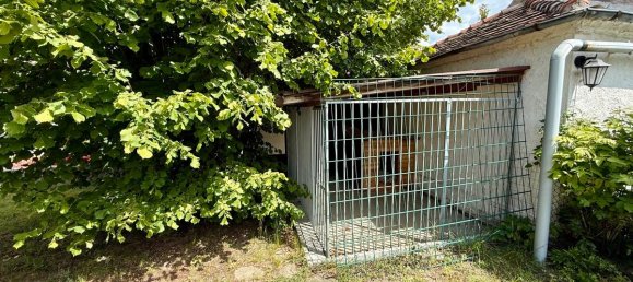 5 bedrooms Townhouse in Cottbus, Germany No. 363986 6