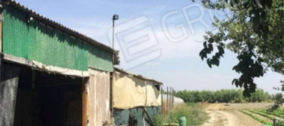 3 bedrooms Apartment in Scanzano Jonico, Italy No. 292590 16