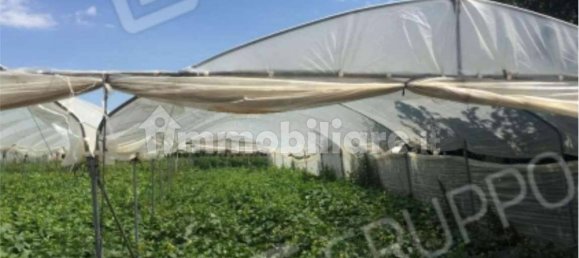 3 bedrooms Apartment in Scanzano Jonico, Italy No. 292590 14