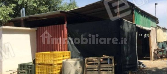 3 bedrooms Apartment in Scanzano Jonico, Italy No. 292590 15