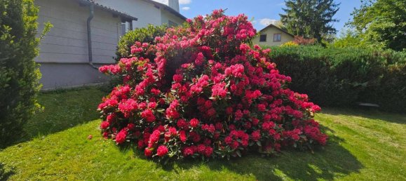 4-salle Maison à Sieghartskirchen, Austria No. 173935 4