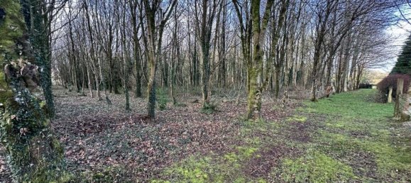 5 bedrooms House in Manche, France No. 360176 9