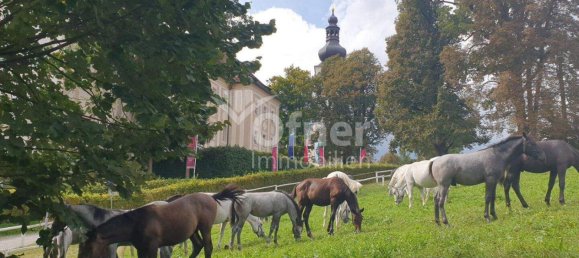 Здание 243м² в Кёфлах, Австрия № 22506 14