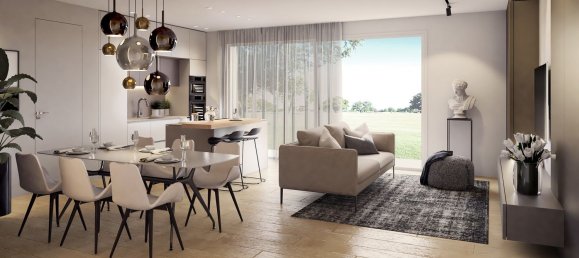 Пентхаус с 5 комнатами в Понцано Венето, Италия № 215703 17