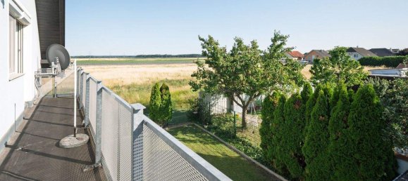 11غرفة منزل في Gross-Enzersdorf, Austria رقم 151595 35