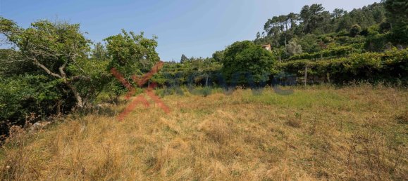 Terrain à Marco de Canaveses, Portugal No. 145833 31
