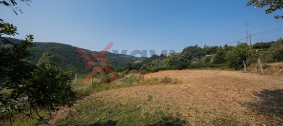 Terrain à Marco de Canaveses, Portugal No. 145833 6