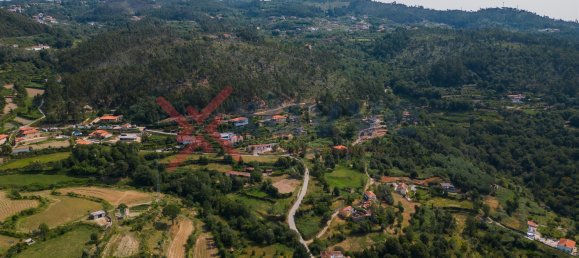 Terrain à Marco de Canaveses, Portugal No. 145833 29