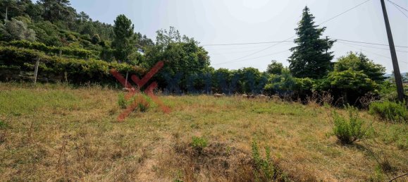 Terrain à Marco de Canaveses, Portugal No. 145833 30