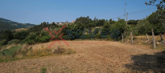 Terrain à Marco de Canaveses, Portugal No. 145833 15
