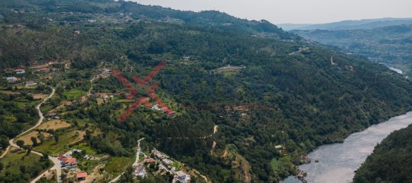 Terrain à Marco de Canaveses, Portugal No. 145833 22