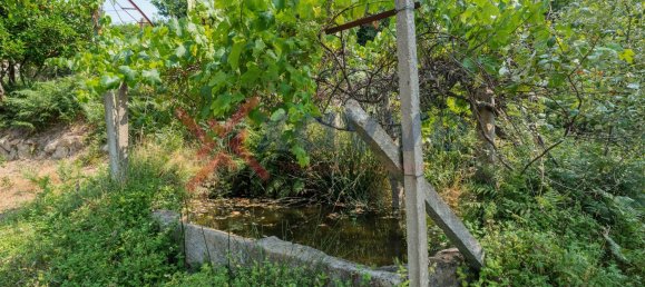 Terrain à Marco de Canaveses, Portugal No. 145833 28