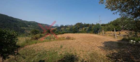 Terrain à Marco de Canaveses, Portugal No. 145833 19