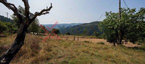 Terrain à Marco de Canaveses, Portugal No. 145833 40