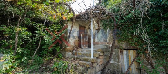 Terrain à Marco de Canaveses, Portugal No. 145833 7