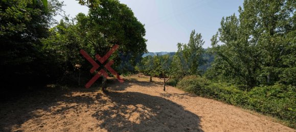 Terrain à Marco de Canaveses, Portugal No. 145833 41