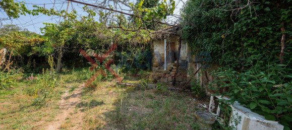 Terrain à Marco de Canaveses, Portugal No. 145833 46