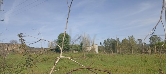 5 bedrooms Castles in Sao Pedro do Sul, Portugal No. 74043 6