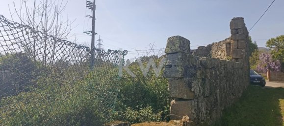 5 bedrooms Castles in Sao Pedro do Sul, Portugal No. 74043 4