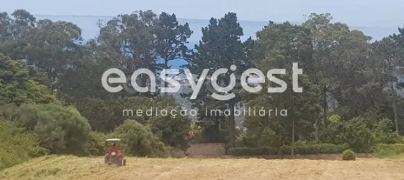  Land in Sintra, Portugal No. 79886 4