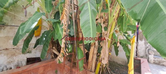 1 Schlafzimmer Wohnung in Mazara del Vallo, Italy, Nr. 351708 9