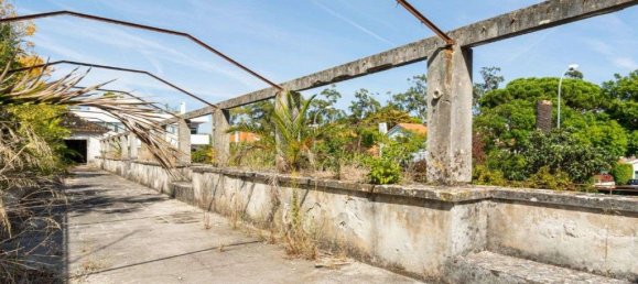 7 bedrooms House in Oeiras, Portugal No. 116776 8