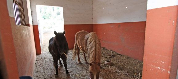 Casa T1 em Orba, Spain N.º 153265 10