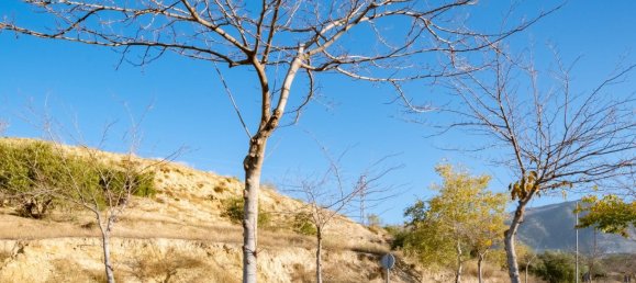 1995m² Land in Alfacar, Spain No. 170036 13