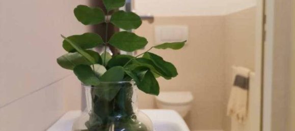 2-salle Bureau à Steyr, Austria No. 47685 3