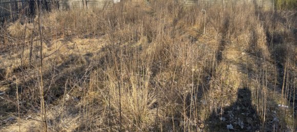 Adosado de 4 habitaciónes en Neumunster, Germany No. 14126 16