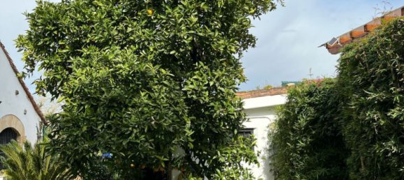 4 bedrooms House in Cantabria, Spain No. 139068 13