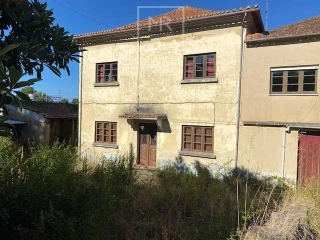 7 bedrooms House in Anadia, Portugal No. 290785