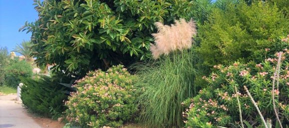 3 غرف نوم شقة في Denia, Spain رقم 24642 5