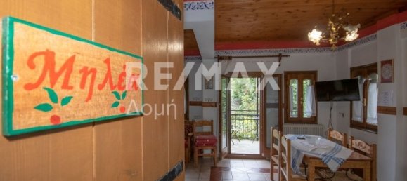 6 Schlafzimmer Gewerbliche Immobilie in Mouresi, Greece, Nr. 757 15