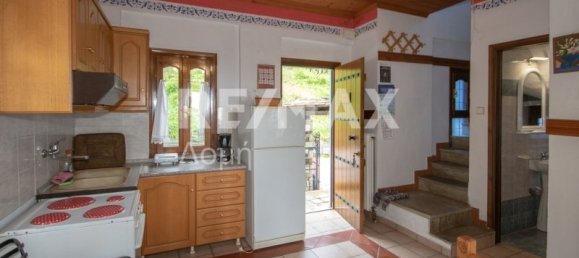 6 Schlafzimmer Gewerbliche Immobilie in Mouresi, Greece, Nr. 757 13