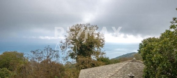 6 Schlafzimmer Gewerbliche Immobilie in Mouresi, Greece, Nr. 757 22