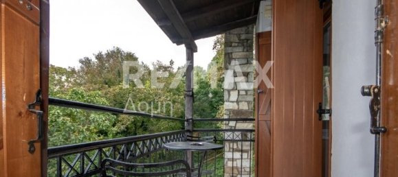 6 Schlafzimmer Gewerbliche Immobilie in Mouresi, Greece, Nr. 757 25