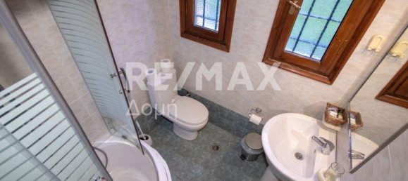 6 Schlafzimmer Gewerbliche Immobilie in Mouresi, Greece, Nr. 757 19