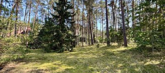 Terreno en Luchow-Dannenberg, Germany 2444 m² No. 344644 2