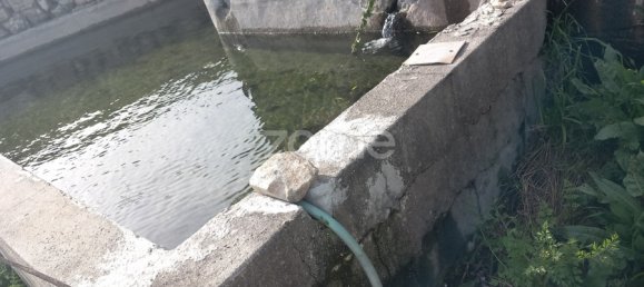 Grundstück in Baiao, Portugal, Nr. 36499 7