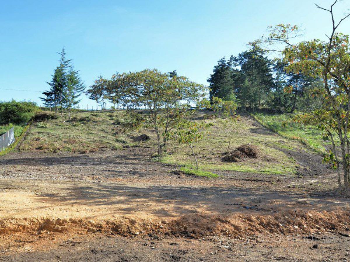 Grundstück in Antioquia, Colombia, Nr. 850