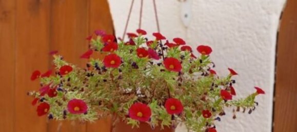 3 bedrooms House in Alicante, Spain No. 188041 11