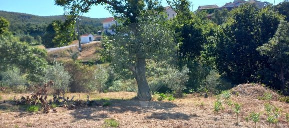 2 bedrooms House in Figueiro dos Vinhos, Portugal No. 18867 8