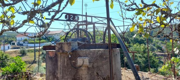 2 bedrooms House in Figueiro dos Vinhos, Portugal No. 18867 7